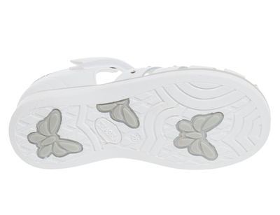 R290830547W (,  1)