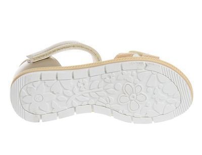 R827330521S/G (,  3)