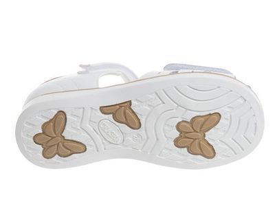R290830543W/G (,  1)