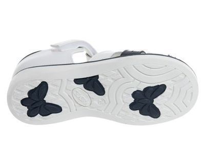 R290830545DB (,  1)