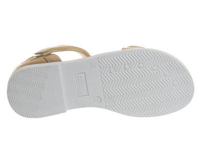 R525931001G (,  1)