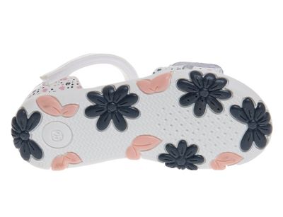 R539550623W&DB/W (,  3)