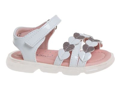 R931950295W/P (,  1)