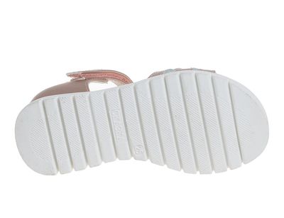 R902150817W/P (,  3)