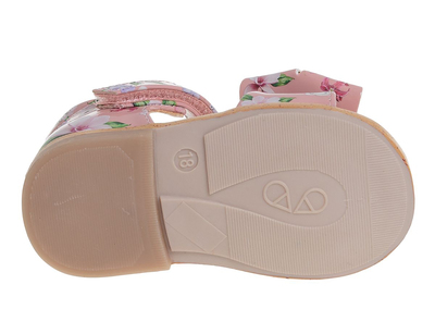 R911750216W/P (,  3)