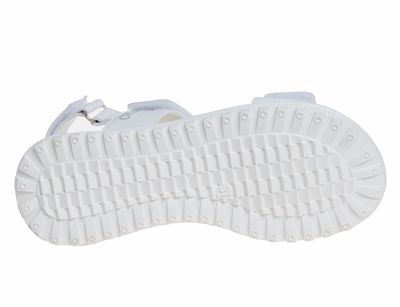 R539951145W (,  1)