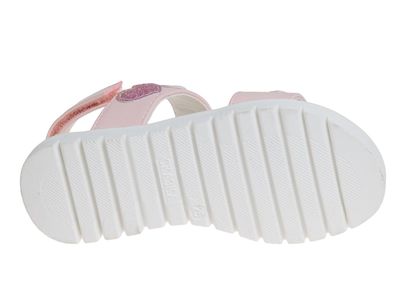 R902150812W/P (,  3)