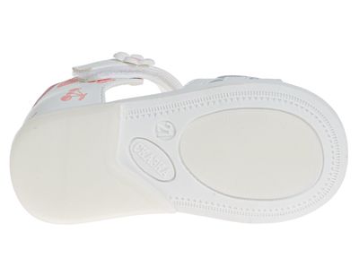 R526060101P/W (,  3)