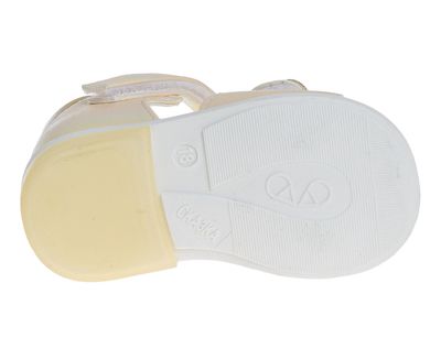 R911760071P/G (,  3)