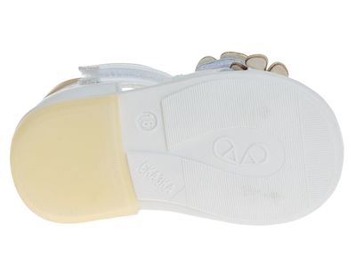 R911760073P/WG (,  3)