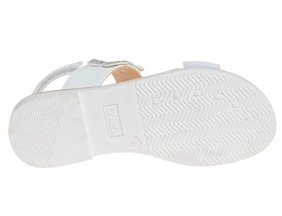 R525961037W (,  1)