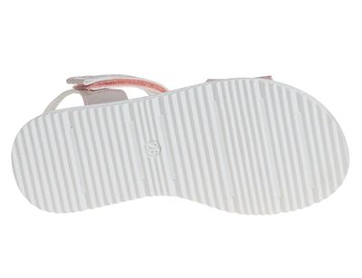 R572560685W/P (,  3)