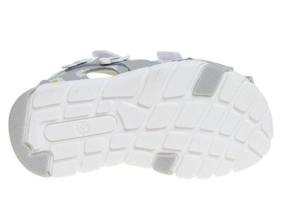 R562370091W/S (,  3)
