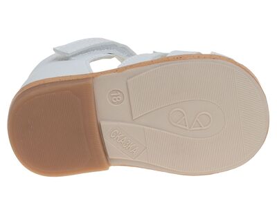 R911770021P/W (,  3)