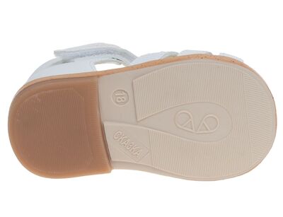 R911770023P/W (,  3)