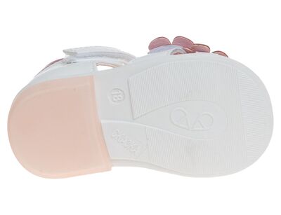 R911770010P/WP (,  3)