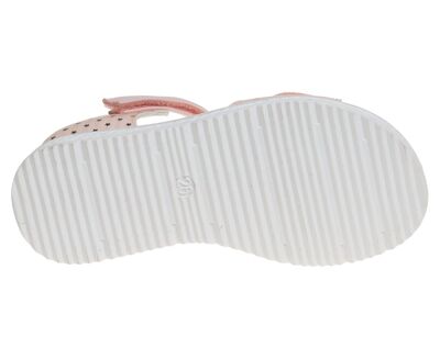 R572571292W/P (,  3)