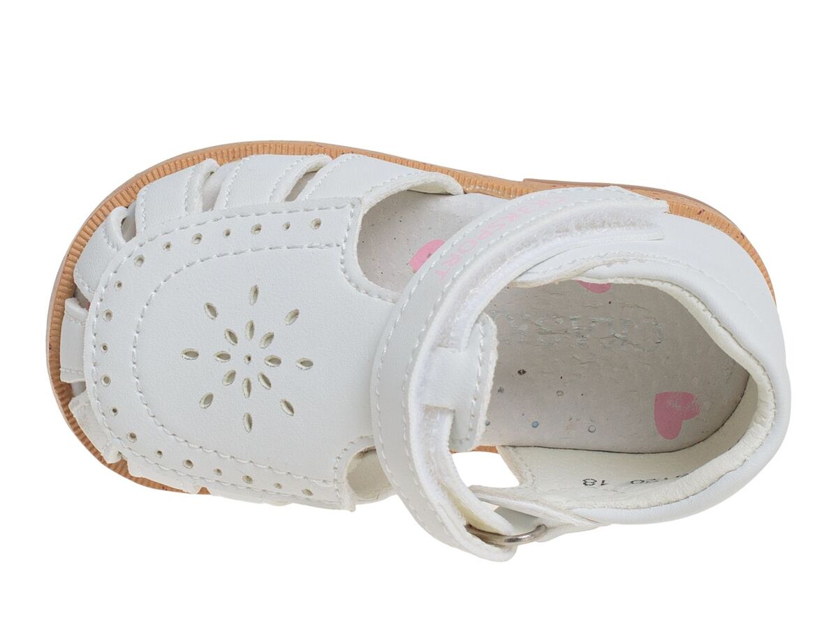 R911780120W (,  1)
