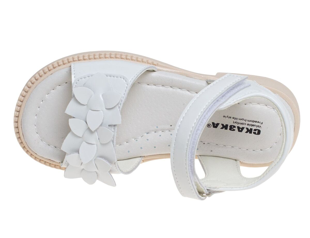 R591681321W (,  1)