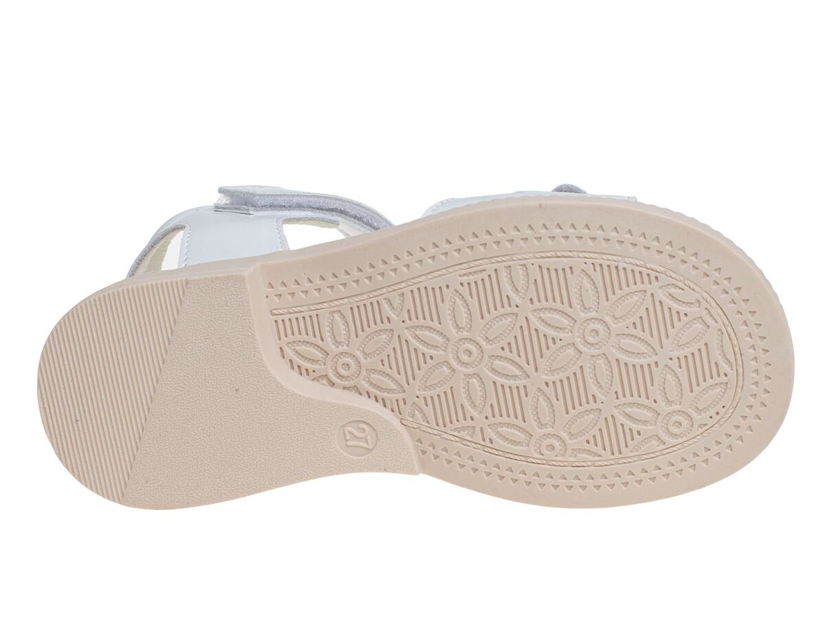 R591681321W (,  2)
