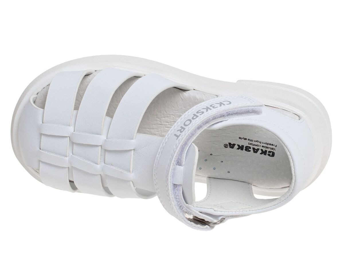 R170881355W (,  1)
