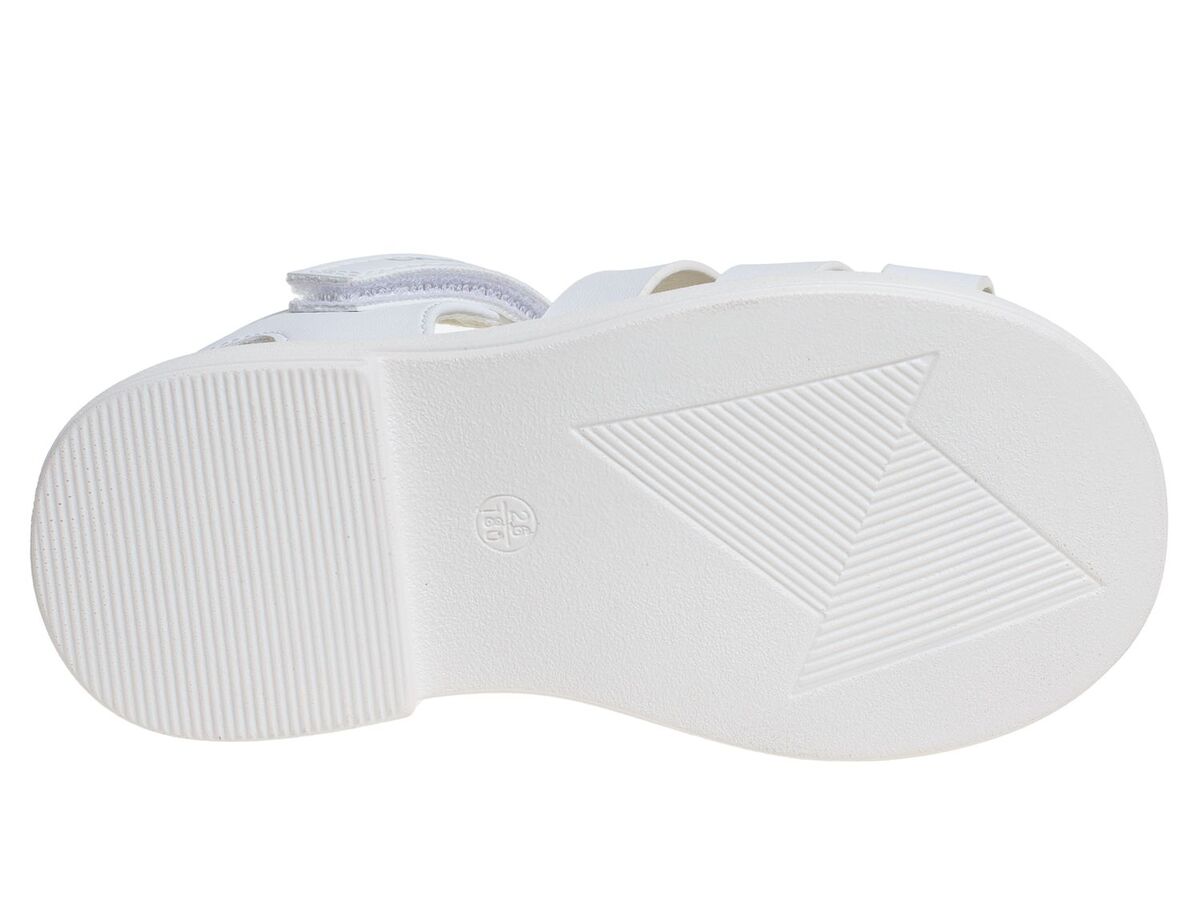 R170881355W (,  2)