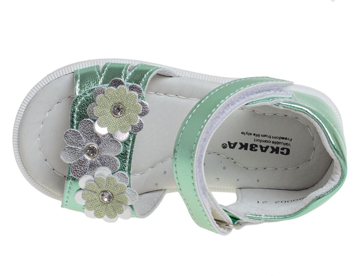 R526080002GN (,  1)