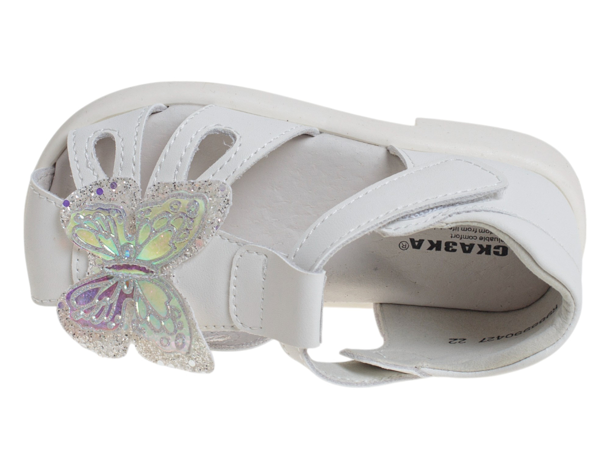 R988990427W (,  2)