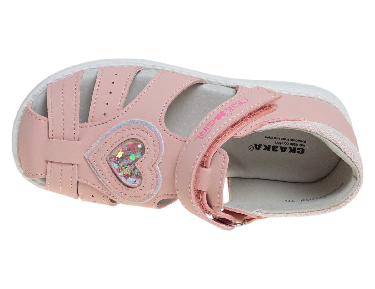 R529091055P (,  2)