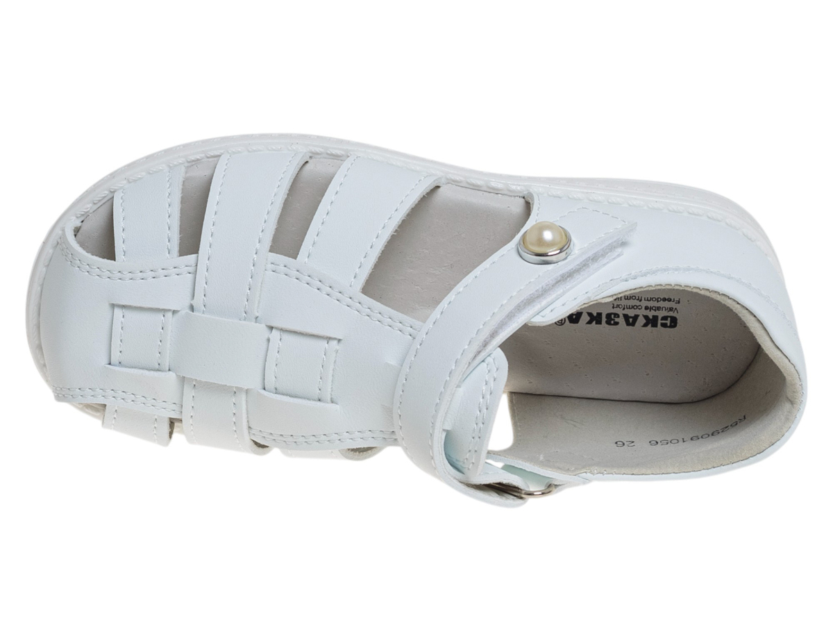 R529091056W (,  2)