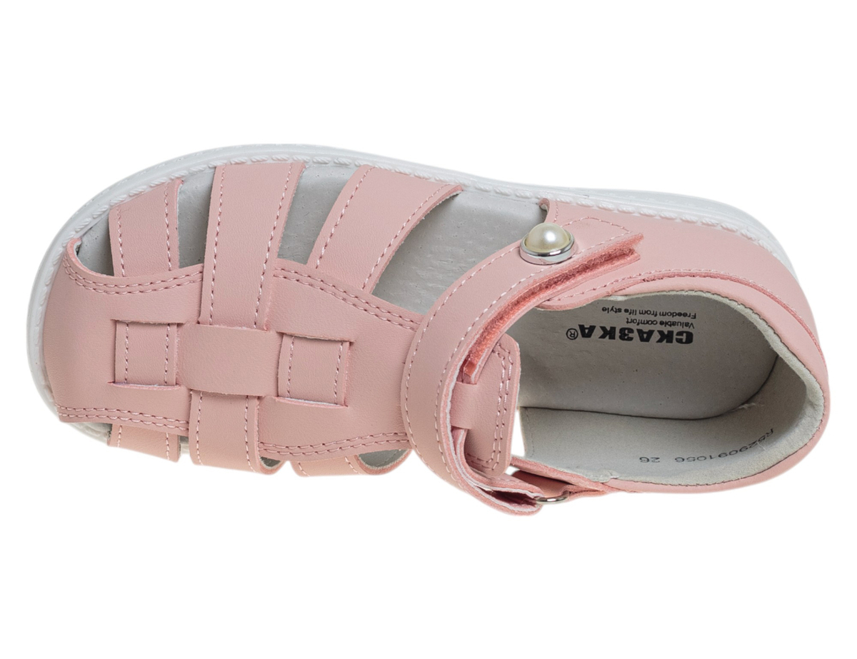 R529091056P (,  2)