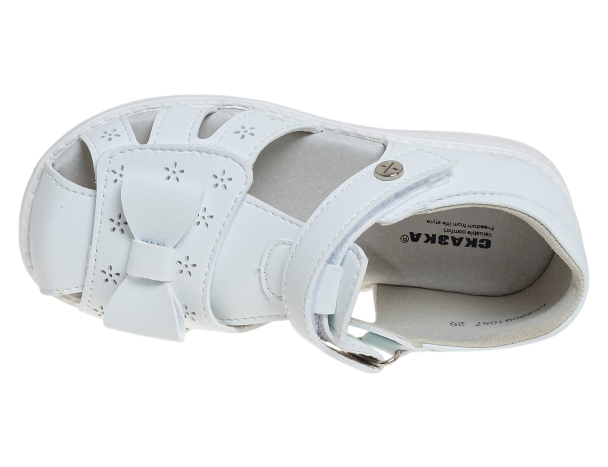 R529091057W (,  2)