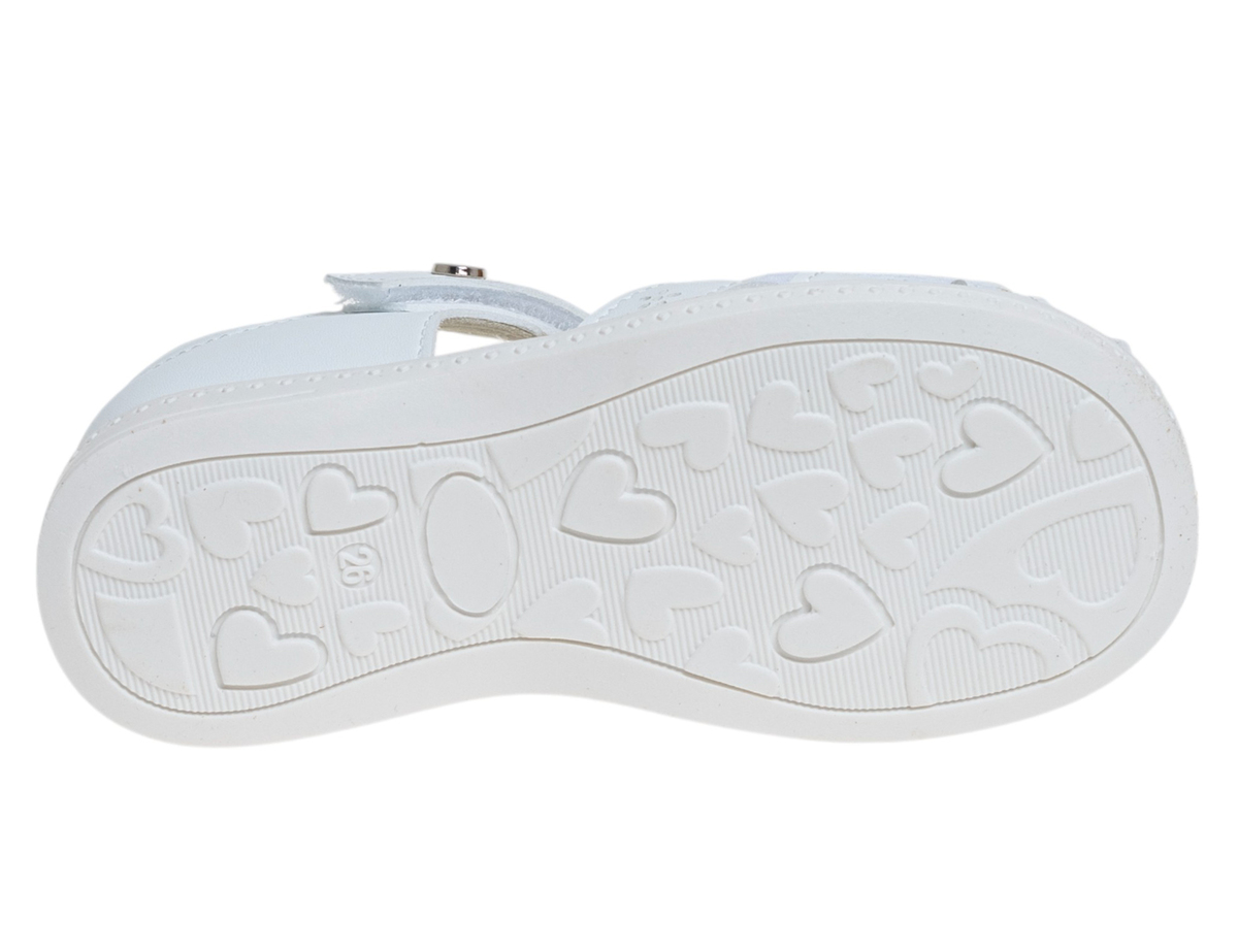 R529091057W (,  3)
