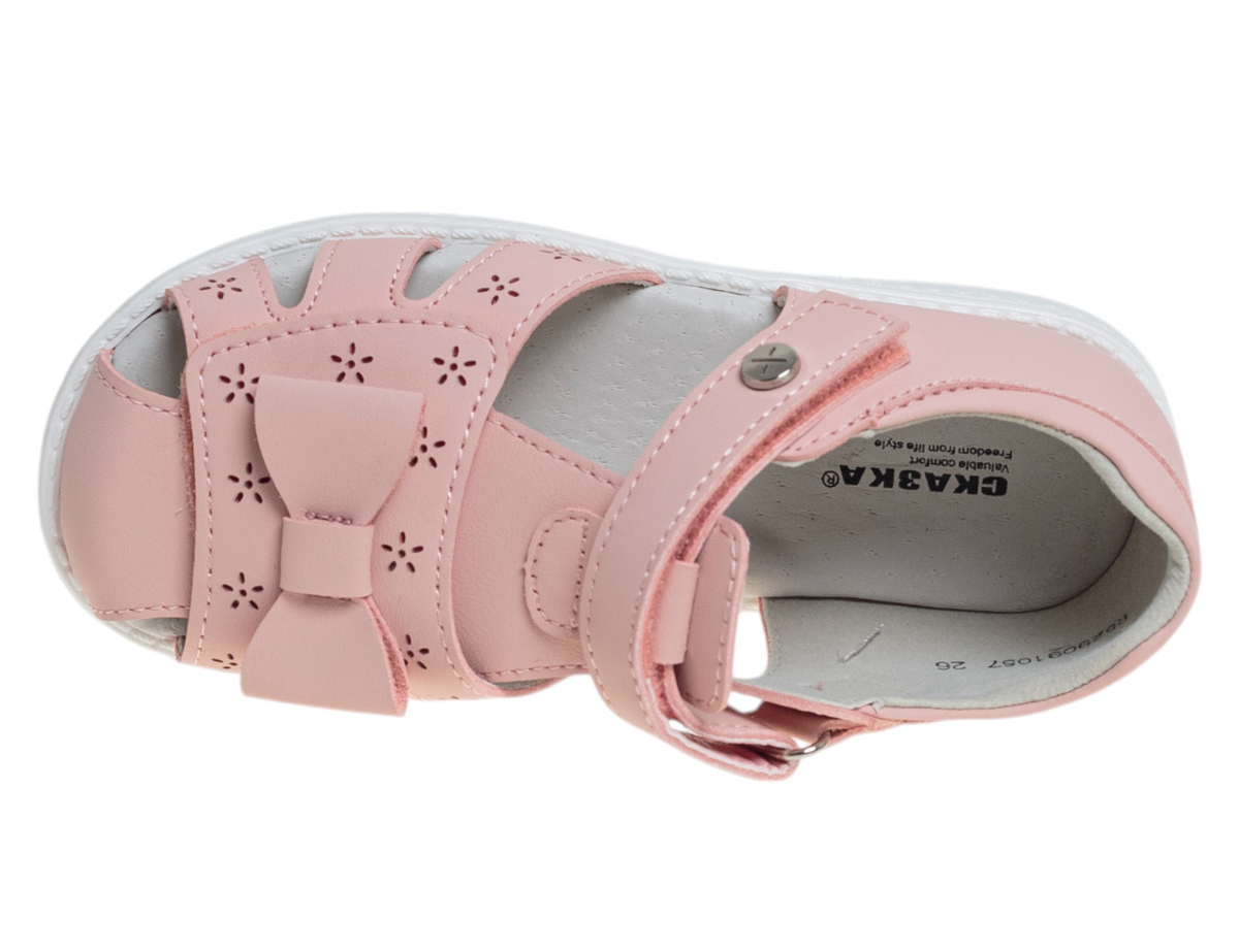 R529091057P (,  2)