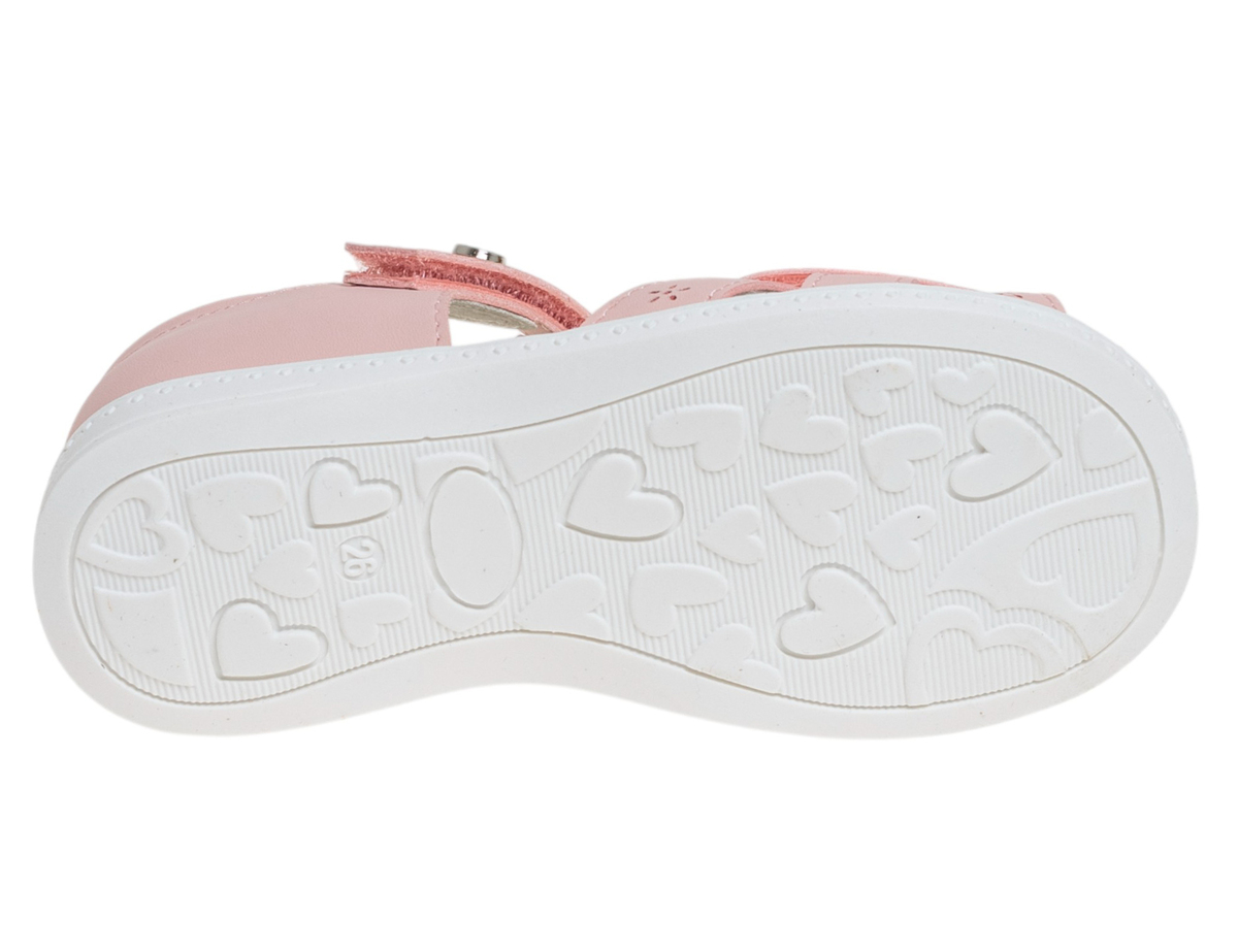 R529091057P (,  3)