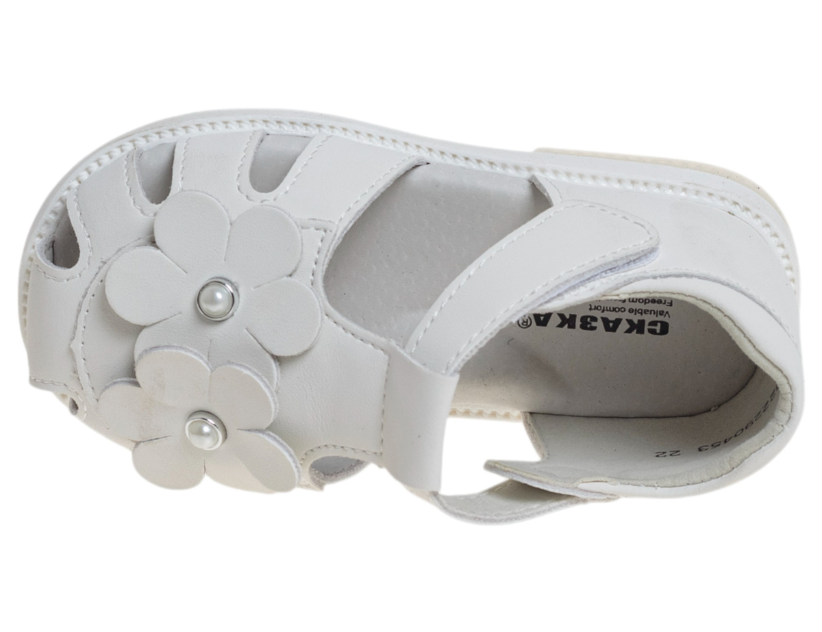 R822290453W (,  2)
