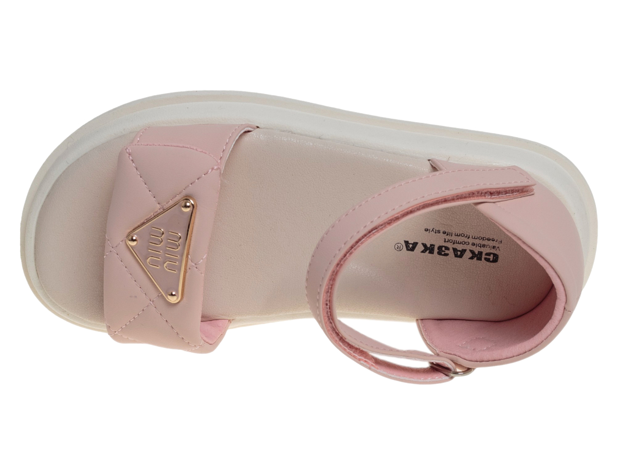 R819091081P (,  2)