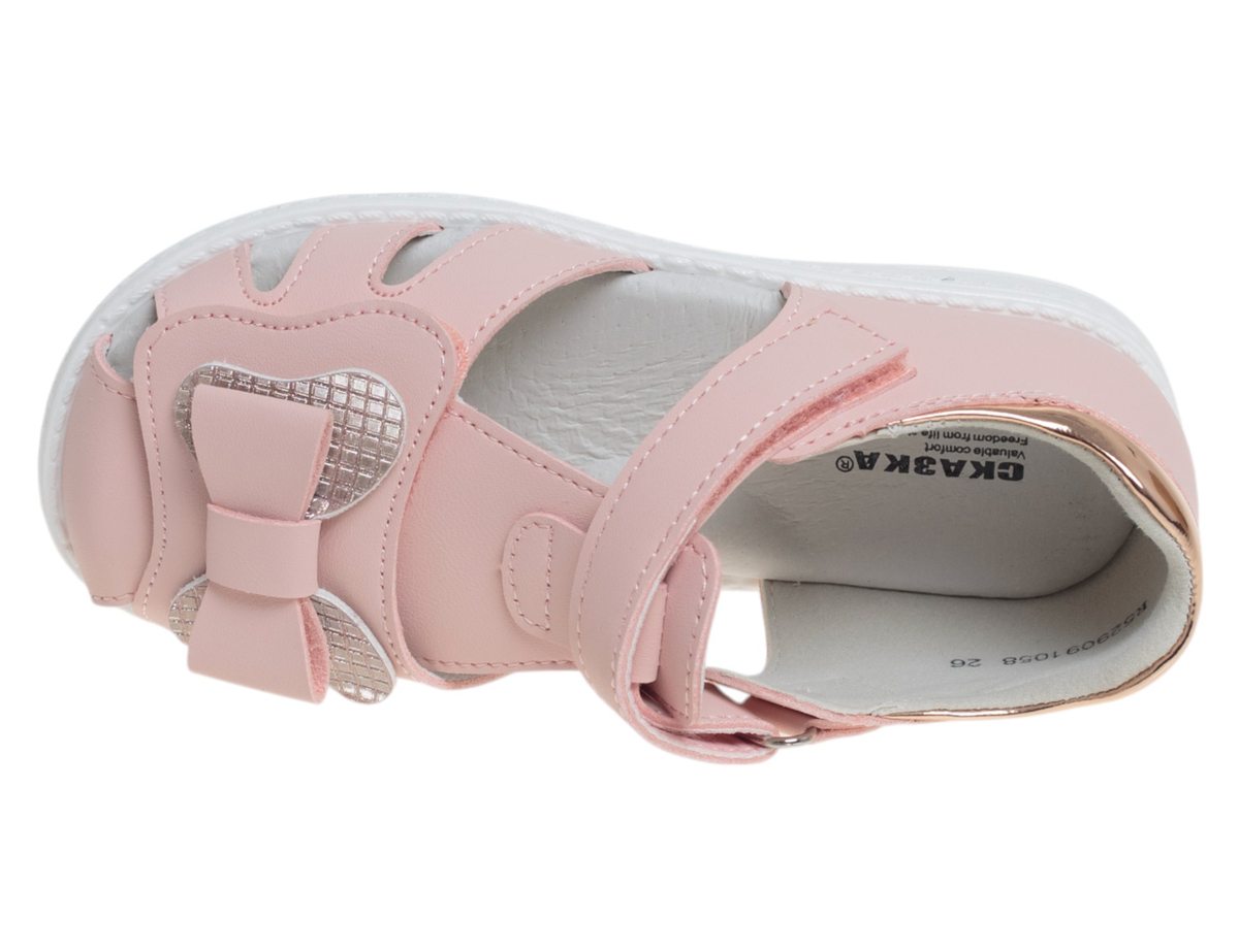 R529091058P (,  2)
