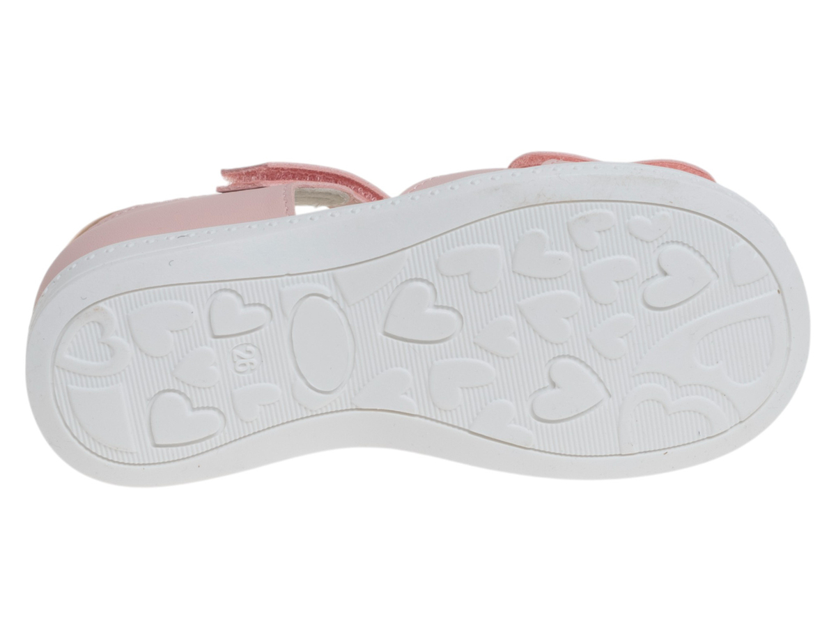 R529091058P (,  3)