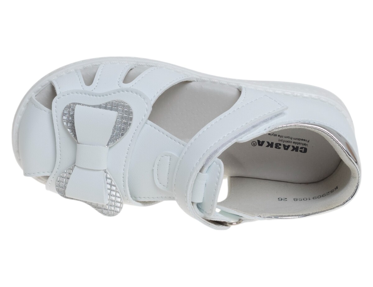 R529091058W (,  2)