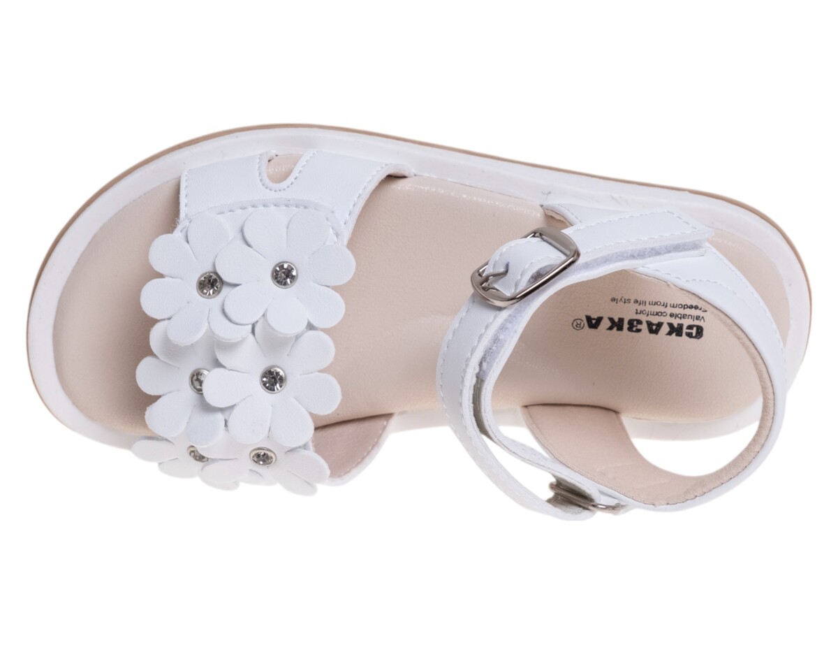 R357691041W (,  2)