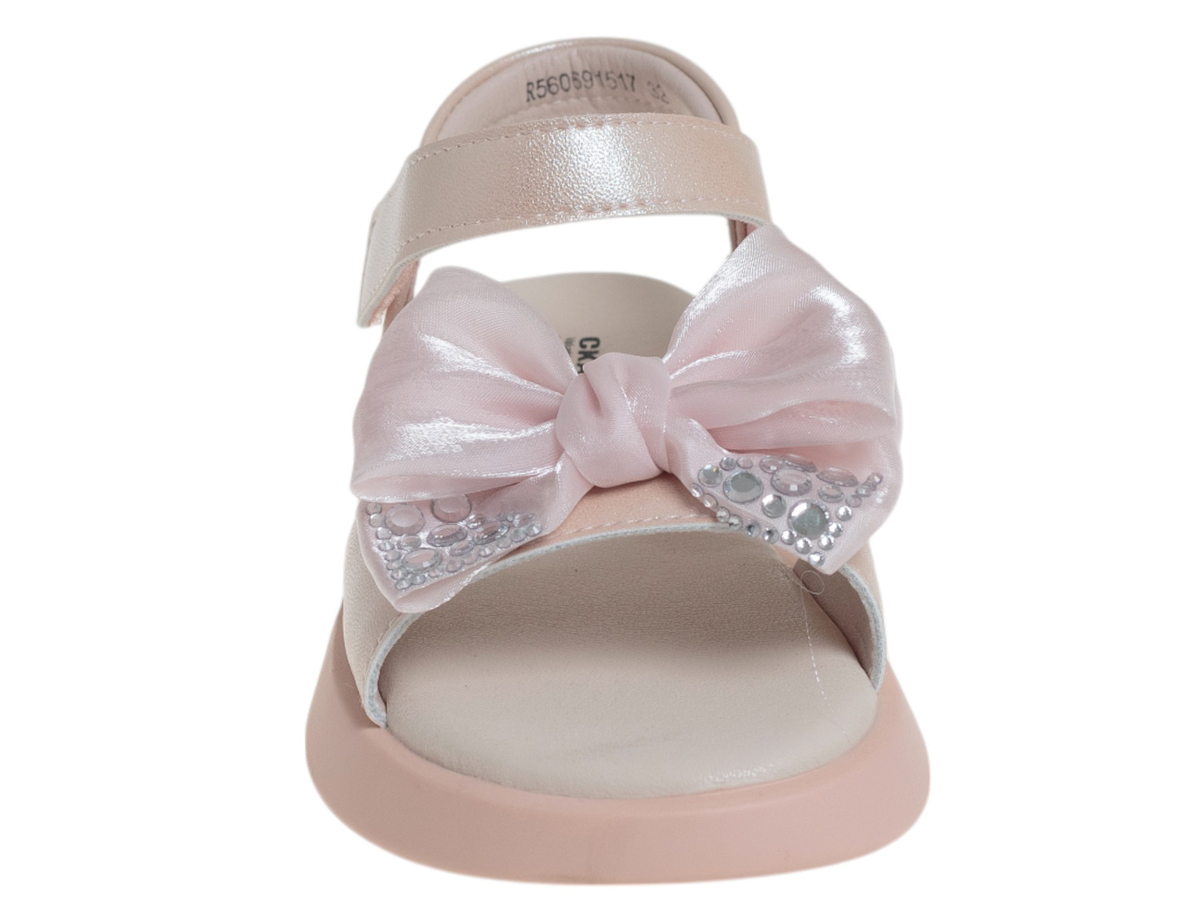 R560691517P (,  1)