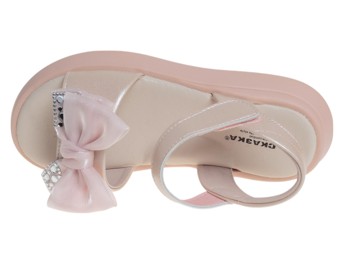 R560691517P (,  2)