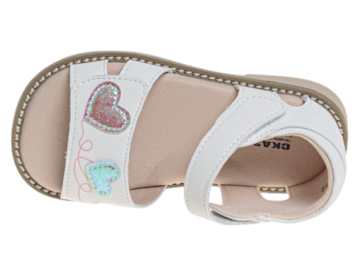 R860790459W (,  2)