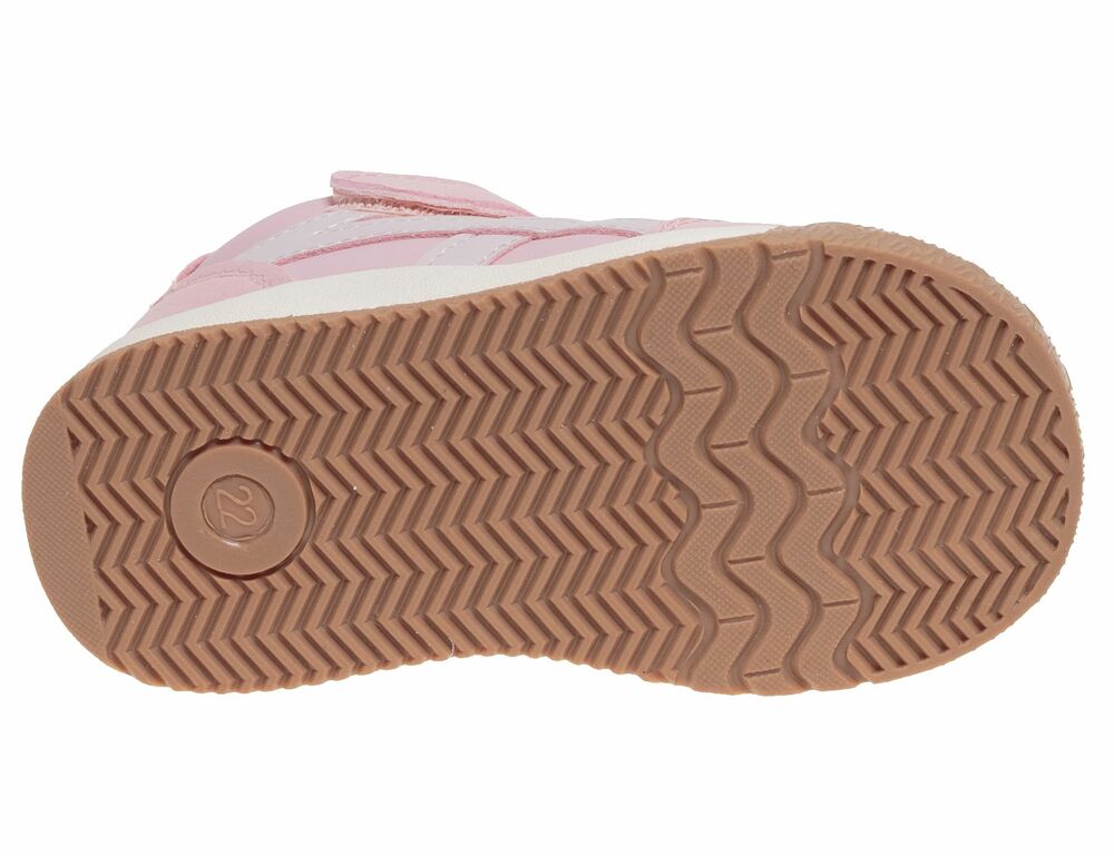 R230195085P (,  3)