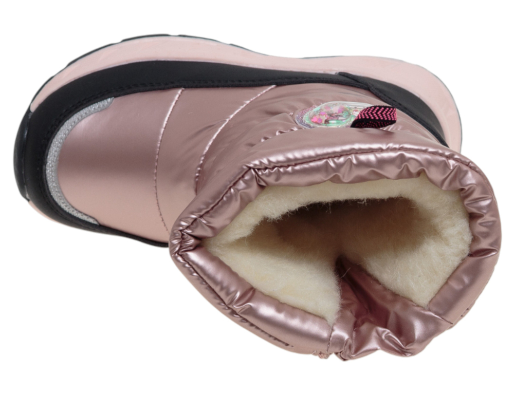    R388098631P (,  2)