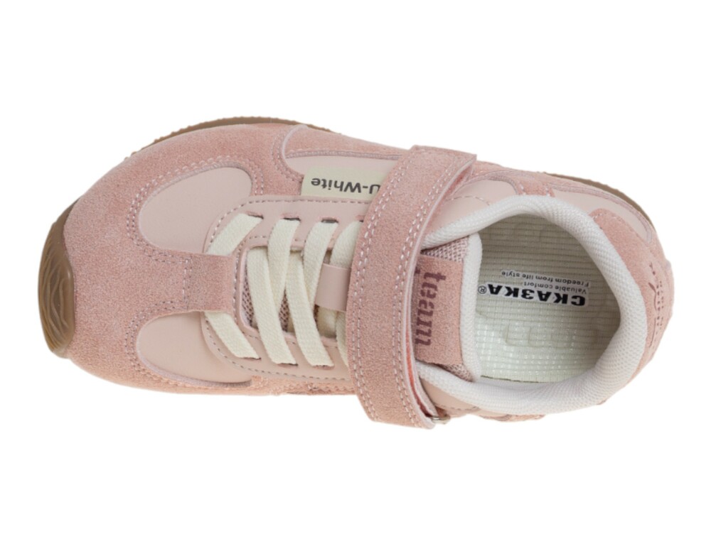 ����������� ��� ������� R223013188P (����, ��� 2)