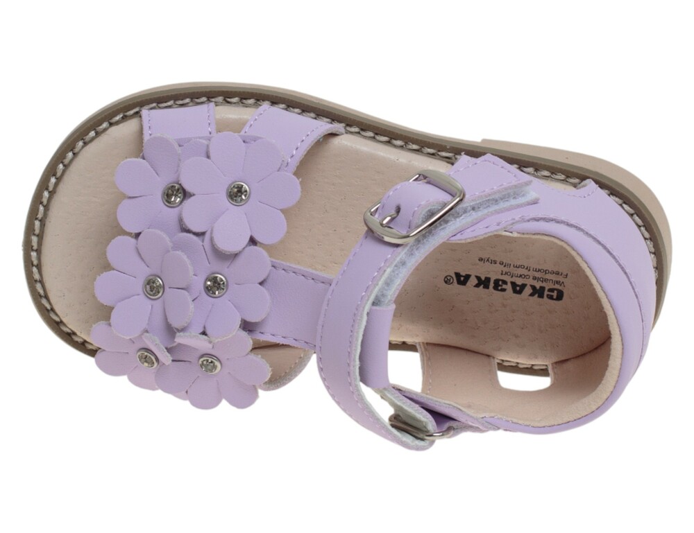 �������� ��� ������� R860710162PE (����, ��� 2)