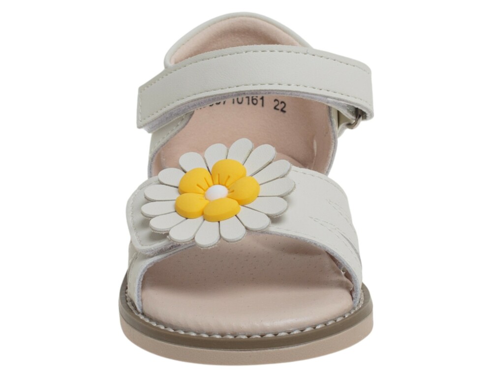 �������� ��� ������� R860710161B (����, ��� 1)