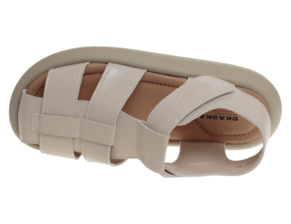 �������� ��� ��������� R221511597AP (����, ��� 2)